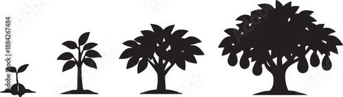Tree Growth Stages Vector Icon Set: Progressive Silhouette Illustration of Plant Life Cycle, showing Germination, Seedling, Young Sapling, and Mature Fruiting Tree Development.