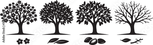 Black Silhouette Vector Icons of Tree Lifecycle and Seasons: Blooming Tree, Full Foliage, Fruiting Olive/Almond Tree, and Bare Winter Branches - Nature Symbol Set.