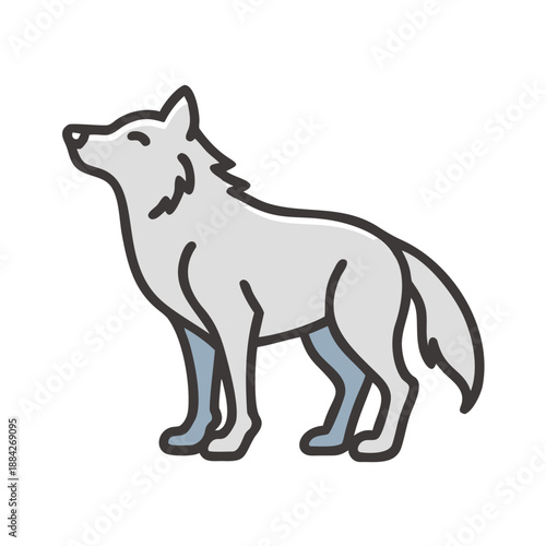 wolf vector illustration