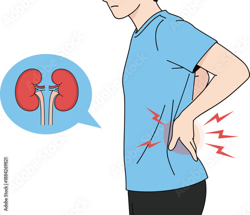 Kidney pain illustration, lower back discomfort visual, medical symptom concept, healthcare diagnosis aid, anatomy education graphic, flat vector illustration
