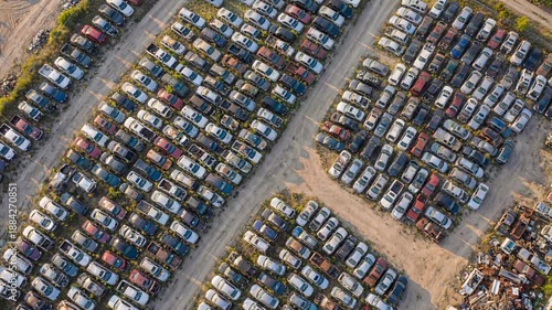 Wallpaper Mural Salvaged vehicles lined up in a junkyard under clear skies during the day revealing various car shapes and colors Torontodigital.ca