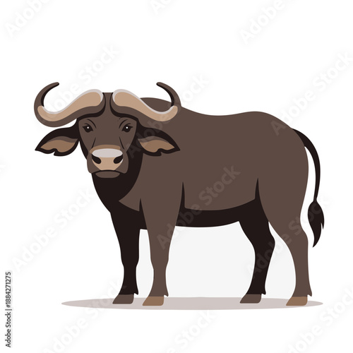 cute baby African Buffalo, flat design, vector illustration, isolated on white transparent background for kids kindergartens themes
