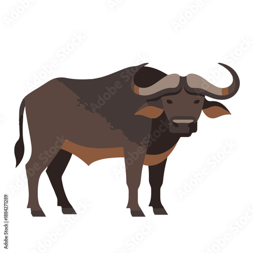 cute baby African Buffalo, flat design, vector illustration, isolated on white transparent background for kids kindergartens themes