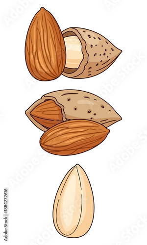 Almond nut silhouette, set of Almond nut vector, Almond nut vector design, Almond nut silhouette art design