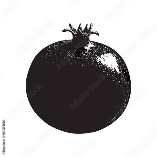 Pomegranate Fruit Illustration - Whole and Half Cut Garnet with Seeds Isolated Silhouette