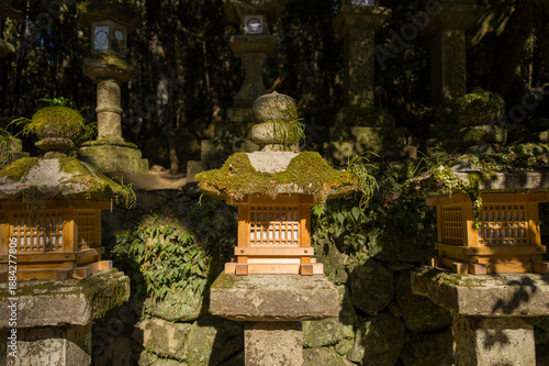 Three traditional stone lanterns topped with vibrant green moss stand in sunlight at Kasuga Taisha shrine in Nara. The textured surfaces and natural growth evoke a sense of ancient tranquility and