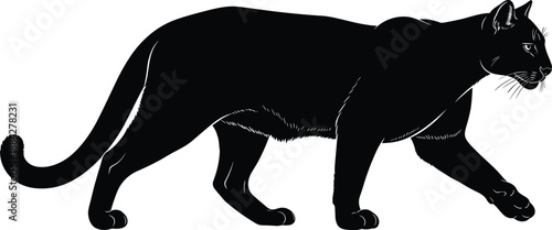 Vector illustration of a wild black puma, cougar, or mountain lion silhouette walking in profile, showcasing its powerful, sleek form, ideal for nature, wildlife, or strength concepts