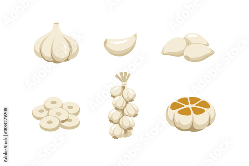 Collection of stylized garlic illustrations showing different forms and preparations