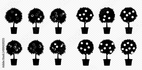 Set of potted topiary trees and bushes with fruits and flowers, black silhouettes on transparent background.