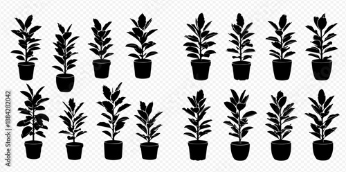 Set of potted houseplant silhouettes, including Ficus Elastica, showcasing various sizes and shapes for indoor decoration.