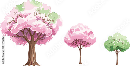 Watercolor cherry blossom tree set, isolated spring sakura and green deciduous trees, floral nature vector elements for Japanese garden design.