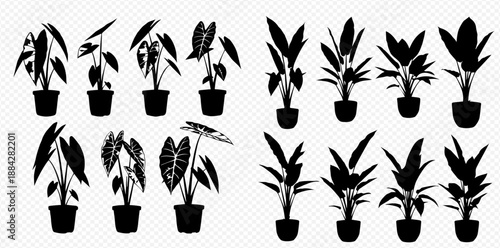 Collection of various potted houseplant silhouettes, perfect for interior design and botanical themes.
