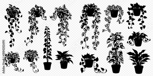 Collection of various potted houseplants and hanging plants in silhouette style, perfect for home decor and garden designs.