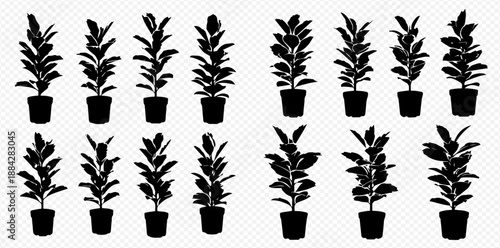 Set of black silhouettes of potted house plants, perfect for interior design and botanical illustrations.