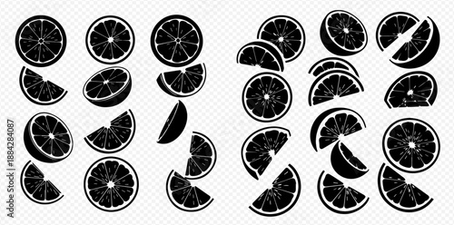 Set of black and white citrus fruit slices, including oranges, lemons, and limes, perfect for graphic design elements.