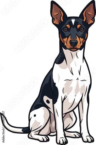 Rat Terrier dog sitting attentive facing front cute illustration