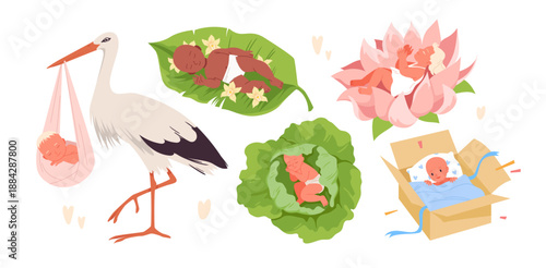 Various newborn babies depicted in imaginative settings including stork, leaves, flower, cabbage, and box, representing different appearance myths, isolated on white background vector illustration