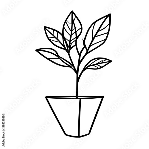 Modern geometric wall-mounted plant holder illustration in minimalist black line art on white background for interior design references