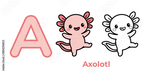 Letter A for Axolotl. Cute kawaii axolotl character with alphabet letter A. Vector illustration set: pink salamander mascot, black and white outline for coloring book, and text. Educational ABC card.