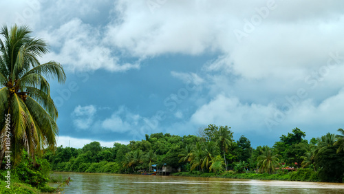 Cuadro en lienzo A pleasant-looking tropical rainforest with betel palms on the banks of a river, inundated forest, second-growth forest
