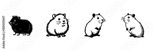 Hamster Illustrations In Hand Drawn Style Set. Cute Rodent Pet Doodle Sketch Collection. Adorable Animal Characters. Isolated Vector Illustration