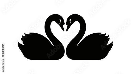 Two black swans forming a heart shape.