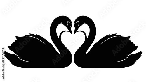 Two black swans forming a heart shape.