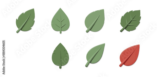 green leaves isolated on white