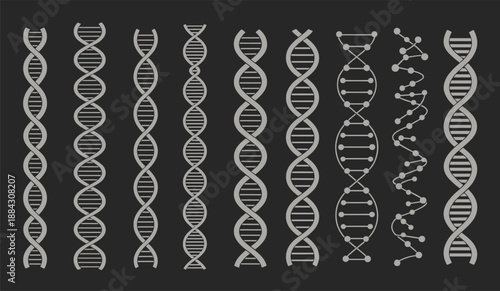 Collection of gray DNA double helix illustrations on dark background representing genetics, molecular biology, biotechnology concepts for medical research, scientific education, healthcare design