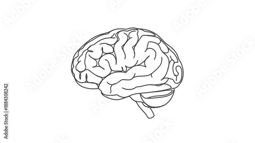 Detailed black and white human brain illustration.