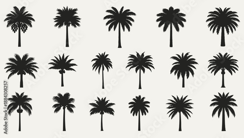 Collection of different palm tree silhouettes in rows.