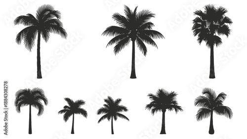 Collection of Palm Tree Silhouettes Isolated on White Background.
