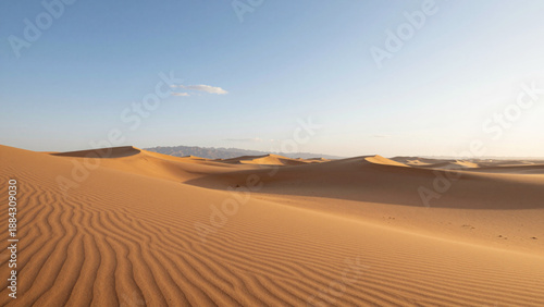 Golden hour light bathes the undulating sand dunes of a vast desert landscape under a clear, serene sky, showcasing intricate ripple patterns across the sandy terrain
