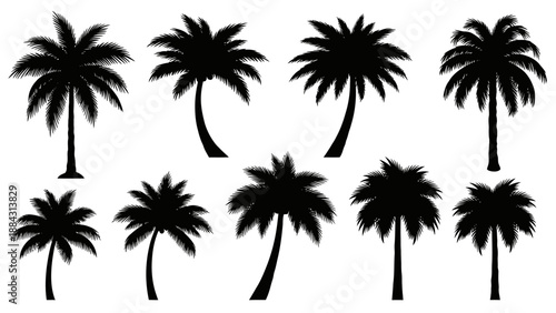 Collection of black palm tree silhouettes isolated.
