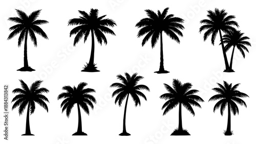 Set of black palm tree silhouettes on white background.