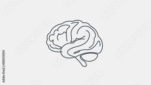 Minimalist Line Drawing of Human Brain Outline.