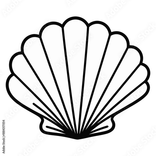 A black and white outline drawing of a scallop shell lies against a white background.
