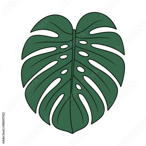 A single green monstera leaf illustration with natural fenestrations is displayed against a white background.