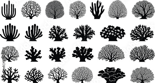 Coral, silhouette, marine, ocean, reef, biology, anatomy, nature, underwater, black, vector, illustration, cad, drawing, flat, design, sea, species, ecology, aquatic, structure, shape