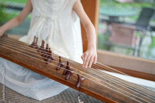 Fotografía A young girl is playing a long stringed instrument
