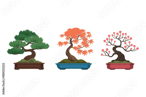 Colorful Bonsai Trees in Planters