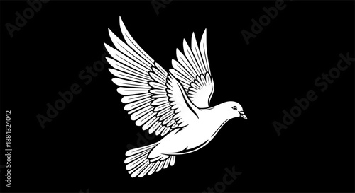 White dove silhouette with outstretched wings for peace symbol and flying bird freedom concept – Black and White Vector Illustration
