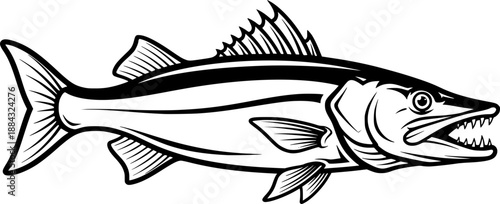 Predator fish line art featuring dorsal fin and sleek scales for angling trophy and minimalist nature illustration – Black Vector Illustration