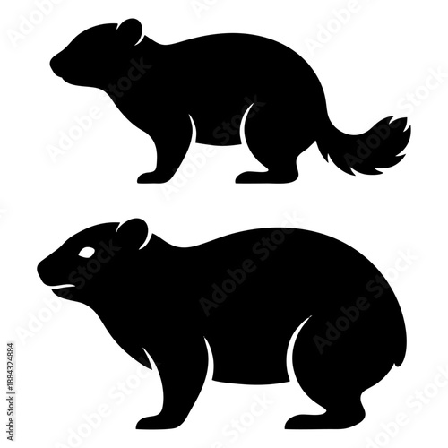 Vector illustrations of rodents in profile view showcasing their distinctive features and body shapes