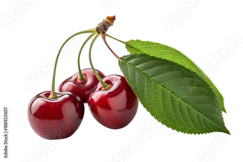 Two fresh organic red cherries with green leaves and stems are isolated on a white background, showcasing a ripe, juicy, and healthy vegetarian dessert in a macro closeup