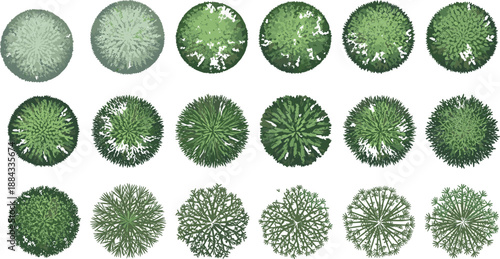 Top View Vector Tree Symbols Set for Architectural Site Plans Landscape Design Garden Mapping Urban Planning Graphics and Isometric Outdoor Rendering