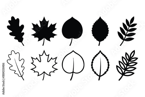 Autumn leaf icon set vector collection silhouette and outline isolated on white background