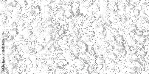 Abstract Topographic Relief Map