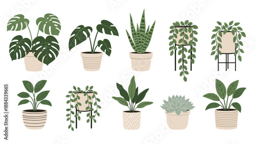 Diverse collection of ten different types of green houseplants in various ceramic pots isolated on a clean white background.