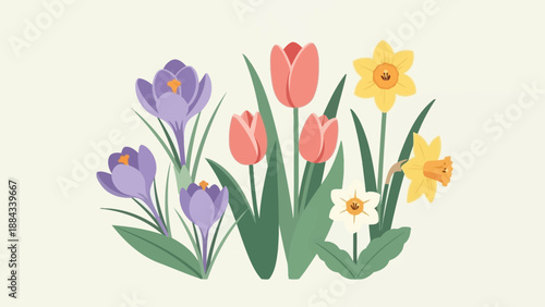 Spring Flower Medley Crocuses Tulips and Daffodils in Bloom.